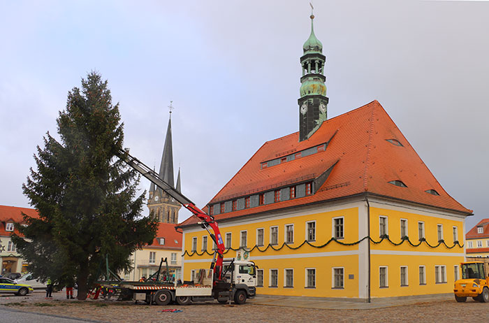 Weihnachtsbaum