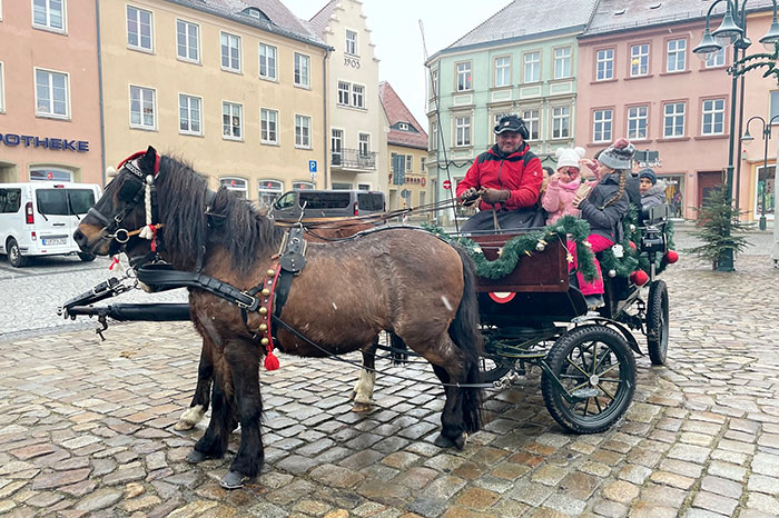 Marco Rinke lud die Gäste auf die Ponykutsche ein