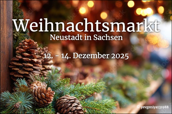 Weihnachtsmarkt in Neustadt in Sachsen