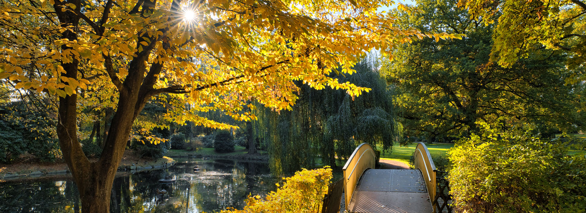 Herbst im Arthur-Richter-Park