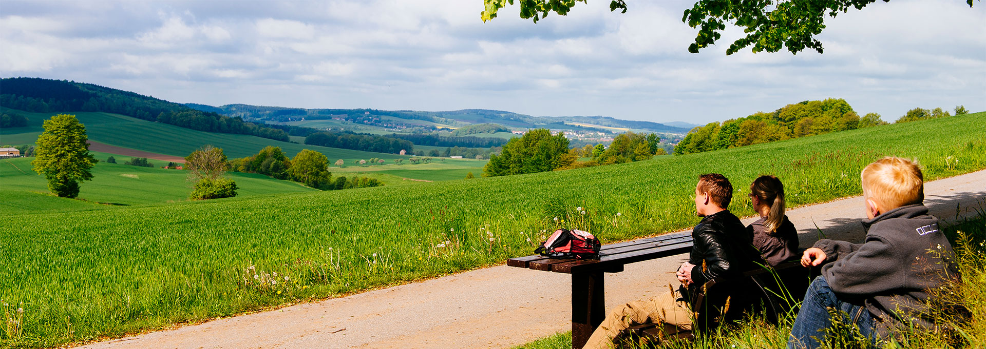 Blick Richtung Neustadt von der Raupenberstrasse